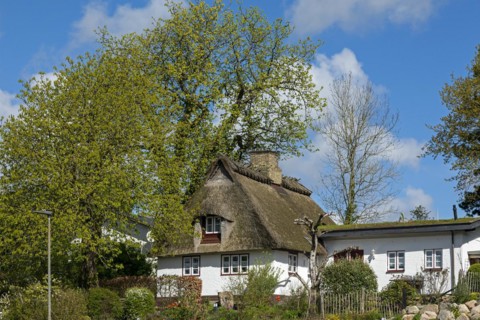 Thatched-roof house, Oat, Kappeln, Schlei, Schleswig-Holstein, Germany, Europe