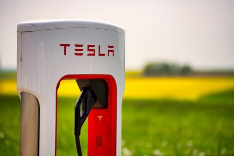 Tesla Supercharger in front of rapeseed field, logo, charging station for electric cars, charging