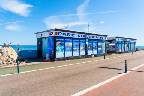 Diving school on the Moll de Llevant promenade, a 4.5 km long promenade for joggers, walkers,