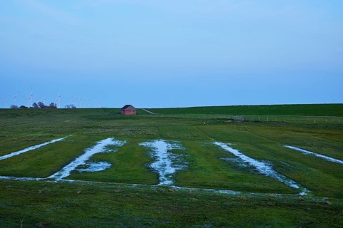 Drainage ditches in the dyke hinterland at dusk near Ockholm, Nordfriesland district,