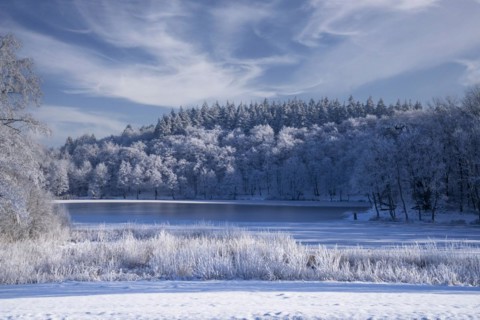 Holzmaar, in winter, nature reserve, Vulkaneifel, Rhineland-Palatinate, Germany, Europe