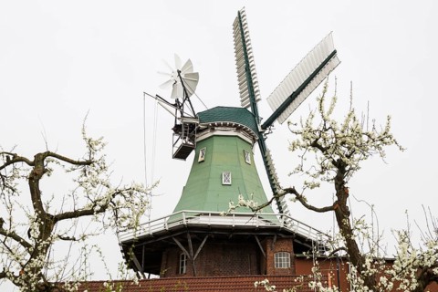 Historic windmill and blossoming fruit trees, three-storey gallery cottage, Twielenfleth, Altes