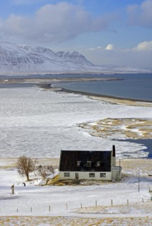 Abandoned house in front of a wide Beech, winter landscape, Skagafjoerour, Norourland vestra,