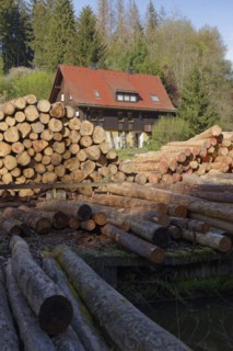 Sawmill in Rottal, Mainhardt Forest, Swabian-Franconian Forest Nature Park, Schwaebisch Hall,