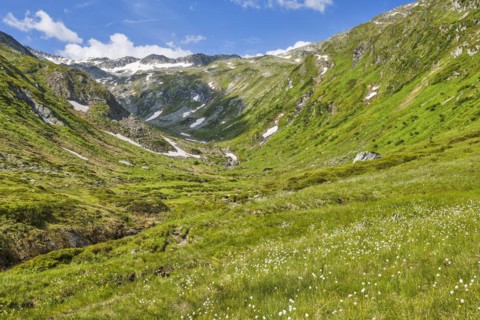 Hike along the Mur, Murursprung, Wollgras, Muhr, National Park Community, UNESCO Biosphere Park