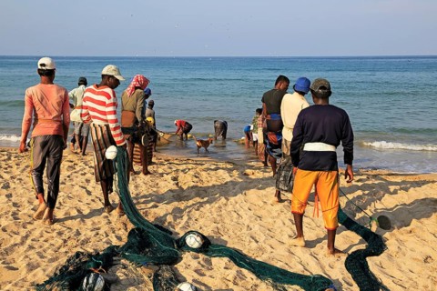 Traditional fishing hauling nets Nilavelli beach, near Trincomalee, Eastern province, Sri Lanka,