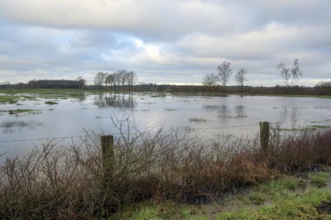Flooded wet meadows in winter, Dingdener Heide nature reserve, North Rhine-Westphalia, Germany,