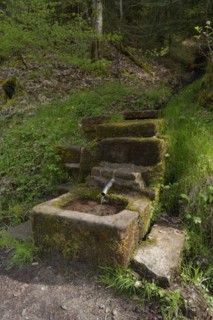 Wells in Rottal, Mainhardter Wald, Swabian-Franconian Forest Nature Park, Schwaebisch Hall,