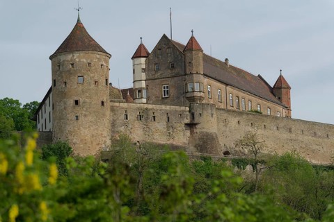 View of Stettenfels Castle in Untergruppenbach, Tower, Towers, Heilbronner Land, Heilbronn-Franken,