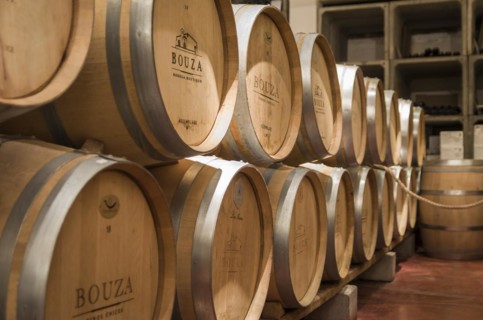 Montevideo, Uruguay, 13th January 2022, Oak barrels from famous Bodega Bouza, winery of fine wines