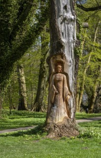 Wood carving in a tree trunk, park in Putbus, Ruegen, Mecklenburg-Vorpommern, Germany, Europe