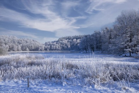 Holzmaar, in winter, nature reserve, Vulkaneifel, Rhineland-Palatinate, Germany, Europe