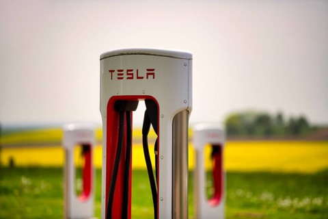 Tesla Supercharger in front of rapeseed field, logo, charging station for electric cars, charging