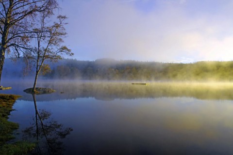Sunrise and autumnal morning mist over a calm lake, foliage colouring, Bullaren, Bohuslaen. Sweden