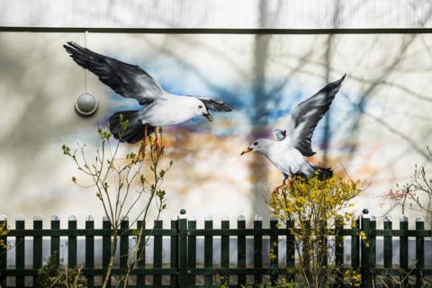 Wall painting with Seagulls, Dangast, Jade Bay, North Sea, Lower Saxony, Germany, Europe