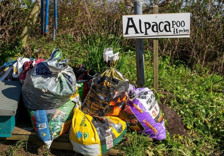 Bags of Alpaca poo on sale, Bawdsey, Suffolk, England, UK
