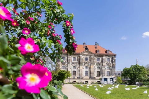 Archive of the Avant-Garde, Dresden, Saxony, Germany, Europe