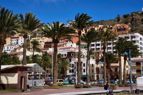 Palm trees in front of the Plaza de las Americas and the old town of San Sebastian de La Gomera, La