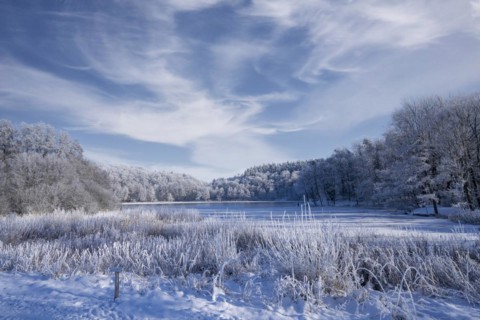 Holzmaar, in winter, nature reserve, Vulkaneifel, Rhineland-Palatinate, Germany, Europe