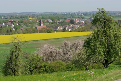 Spring in the Swabian-Franconian Forest nature park Park near rose garden-Sanzenbach, fruit