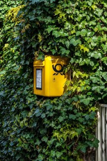 Yellow letterbox surrounded by Ivy, Berlin, Germany, Europe