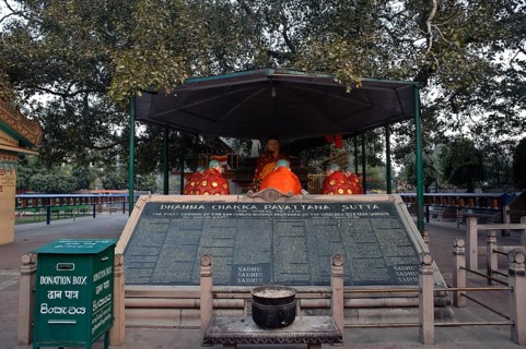 Sacred Bodhi tree campus, Buddhist pilgrimage site, Sarnath, India, Asia