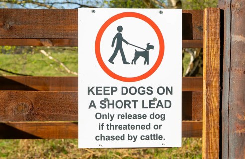 Keep Dogs on short lead, only release dog if threatened or chased by cattle, Suffolk Sandlings,
