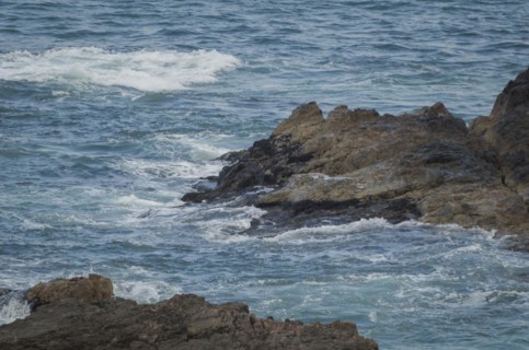 Punta del Este, Uruguay, 15th January 2022, View of Punta Ballena, near Punta del Este, site of the