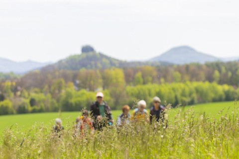 New Caspar David Friedrich Trail opened in Saxon Switzerland, Reinhardtsdorf-Schoena, Saxony,