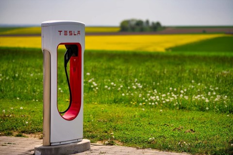 Tesla Supercharger in front of rapeseed field, logo, charging station for electric cars, charging