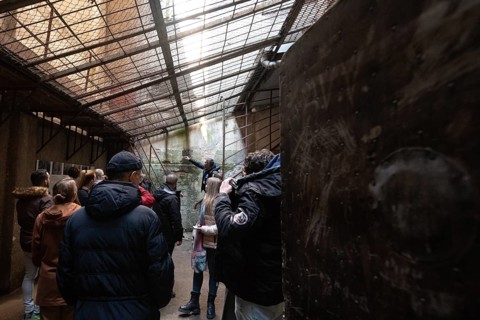Barred inner courtyard, former headquarters and prison of the Soviet secret service KGB, Riga,