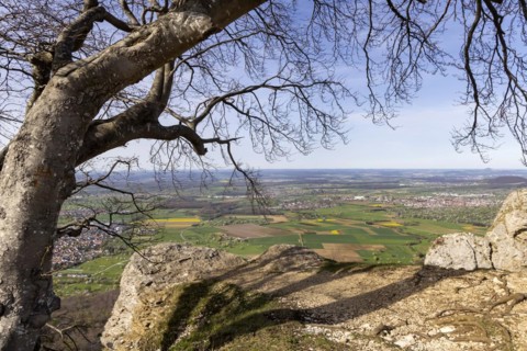 Breitenstein near Ochsenwang in spring, rocky outcrop of the Swabian Alb, 811 metre high rocky
