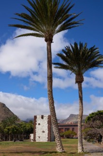 Two Palm trees in front of the Torre del Conde, Tower of the Count, medieval tower in the park,