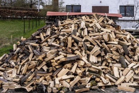 Pile of firewood in the front garden, Ruegen, Mecklenburg Vopommern, Germany, Europe