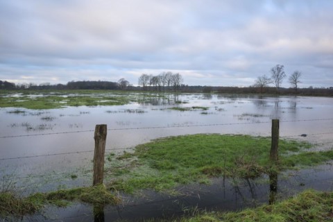 Flooded wet meadows in winter, Dingdener Heide nature reserve, North Rhine-Westphalia, Germany,