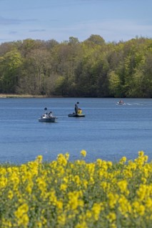 Herring fishing, boats, Rabelsund, Rabel, Schlei, Schleswig-Holstein, Germany, Europe