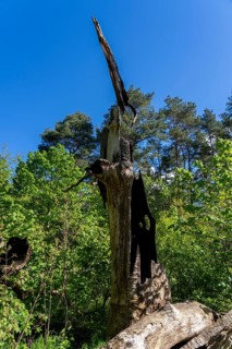 Burnt-out tree stump, Berlin, Germany, Europe