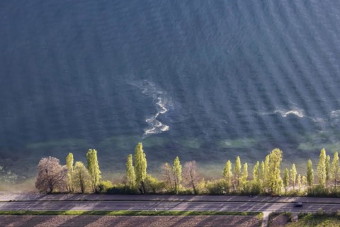 Shore of Lake Constance in spring, pollen floating in the water, aerial view from a zeppelin,