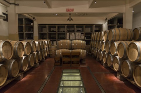 Montevideo, Uruguay, 13th January 2022, Oak barrels from famous Bodega Bouza, winery of fine wines