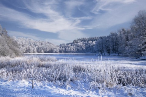 Holzmaar, in winter, nature reserve, Vulkaneifel, Rhineland-Palatinate, Germany, Europe