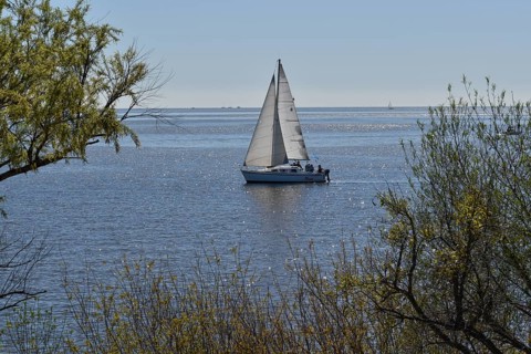 Private sailing boat on the Rio de la Plata off Buenos Aires, Argentina, South America