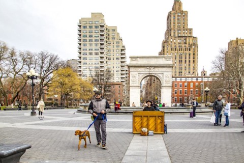 Street musician, Washinton Square Park, Greenwich Village, Manhattan, New York City