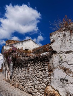 Old house facades and property walls, Bornos, Andalusia, Spain, Europe