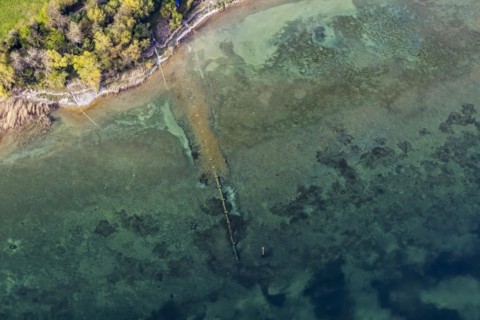 Shore of Lake Constance, turquoise-coloured water, aerial view, top-down, aerial view, Immenstaad