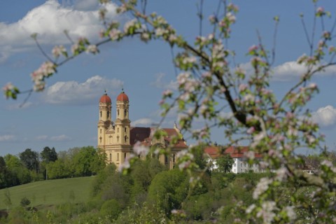 Schoenenbergkirche, fruit blossom, pilgrimage church, church, baroque church, church, pilgrimage,