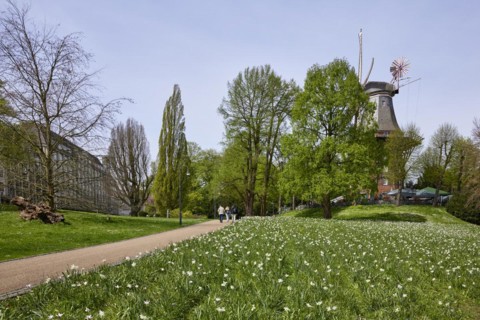 Mill Am Wall and flower field in the Wallanlagen in Bremen, Hanseatic City, State of Bremen,
