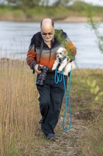Elderly man carrying Bolonka Zwetna dog over mud, Elbe, Elbtalaue near Bleckede, Lower Saxony,