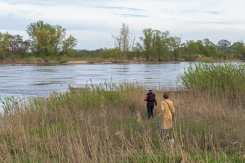 Woman and man walking to the riverbank, Elbe, Elbtalaue near Bleckede, Lower Saxony, Germany,