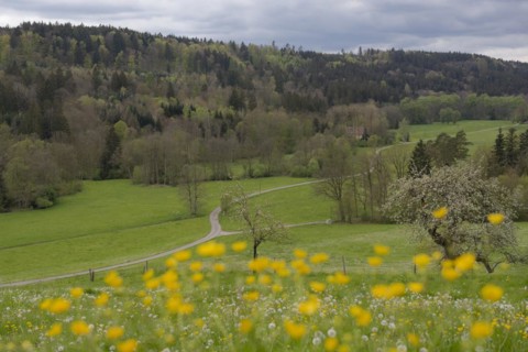 Spring in the Rottal near Wielandsweiler, Mainhardter Wald, Schwaebisch-Fraenkischer Wald Nature
