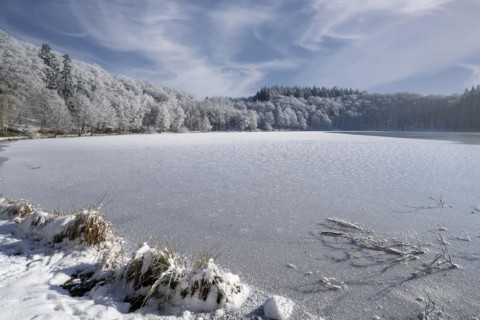 Holzmaar, in winter, nature reserve, Vulkaneifel, Rhineland-Palatinate, Germany, Europe
